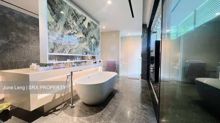 Toh Estate (D17), Semi-Detached #523932691